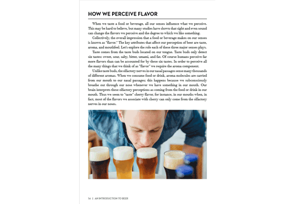 The Cicerone® Certification Program’s Introduction To Beer EBook ...